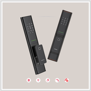 Khóa vân tay Hafele PP8100 912.05.695 (Màu đồng)